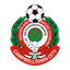Campbelltown City logo