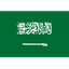 Saudi Arabia U19 logo