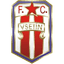Vsetin logo
