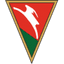 Lublinianka logo