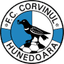 Corvinul logo