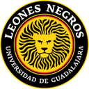 Leones Negros