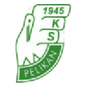 Pelikan
