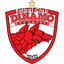 Dinamo Bucuresti logo