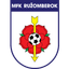 Ruzomberok logo