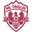 Triglav logo