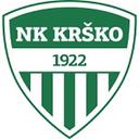 Krsko Posavje