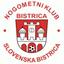 NK Bistrica logo