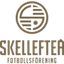 Skelleftea logo