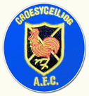 Croesyceiliog
