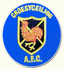 Croesyceiliog logo