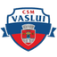 CSM Vaslui logo