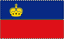Liechtenstein U21 logo