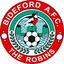 Bideford logo
