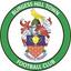 Burgess Hill Town logo