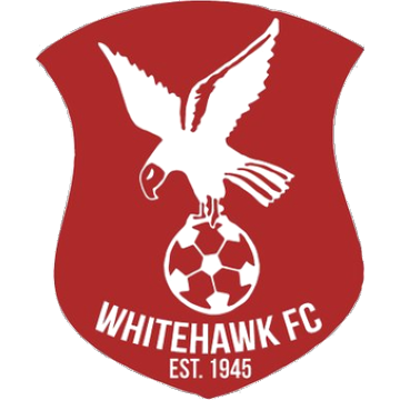Whitehawk