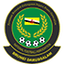 Brunei logo
