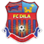 Dila Gori logo