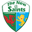 TNS logo