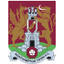 Northampton Town logo