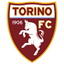 Torino logo
